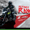 kawasaki z250 abs