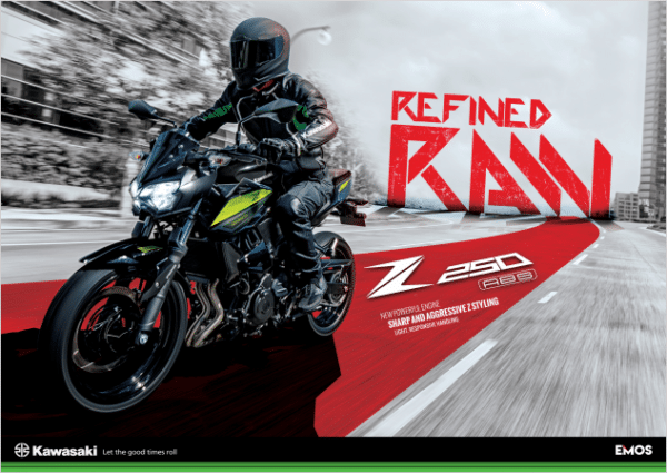 kawasaki z250 abs