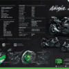 Kawasaki Ninja 250 Non ABS - Motosing - Image 2